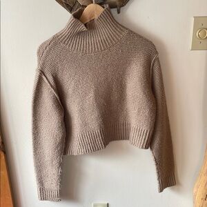 Cozy Cropped Turtleneck Sweater